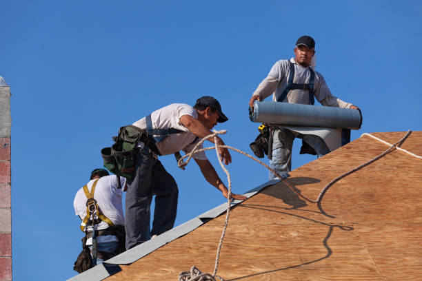 Best Commercial Roofing Services  in San Lorenzo, CA